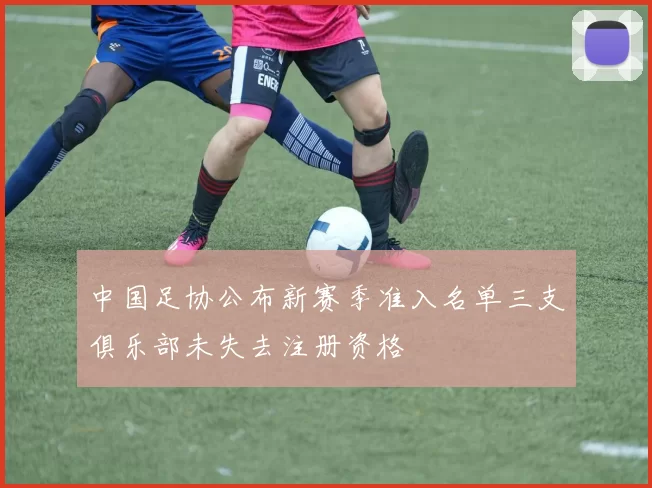 中国足协公布新赛季准入名单三支俱乐部未失去注册资格