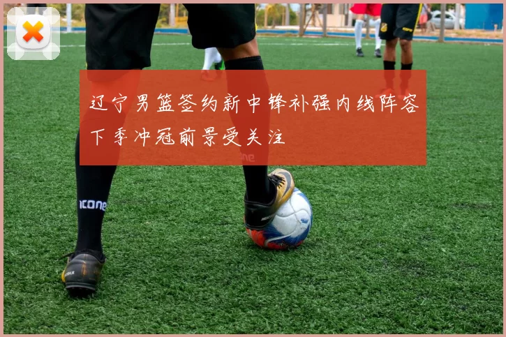辽宁男篮签约新中锋补强内线阵容下季冲冠前景受关注