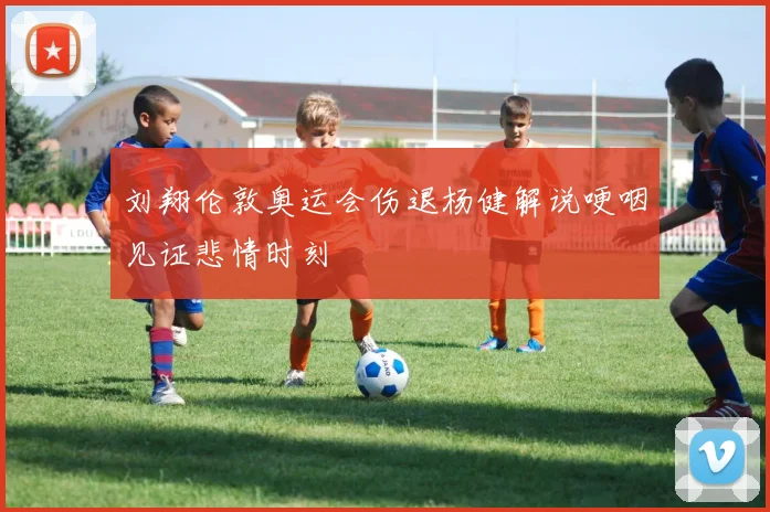 刘翔伦敦奥运会伤退杨健解说哽咽见证悲情时刻