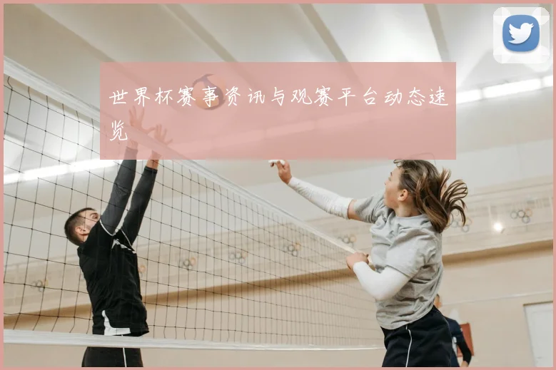 世界杯赛事资讯与观赛平台动态速览