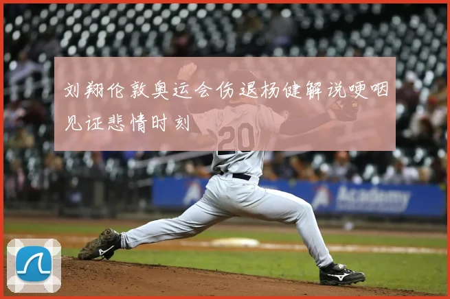刘翔伦敦奥运会伤退杨健解说哽咽见证悲情时刻