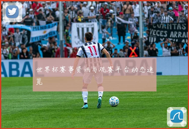 世界杯赛事资讯与观赛平台动态速览