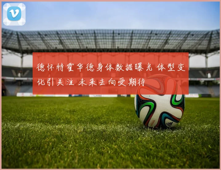德怀特霍华德身体数据曝光 体型变化引关注 未来去向受期待